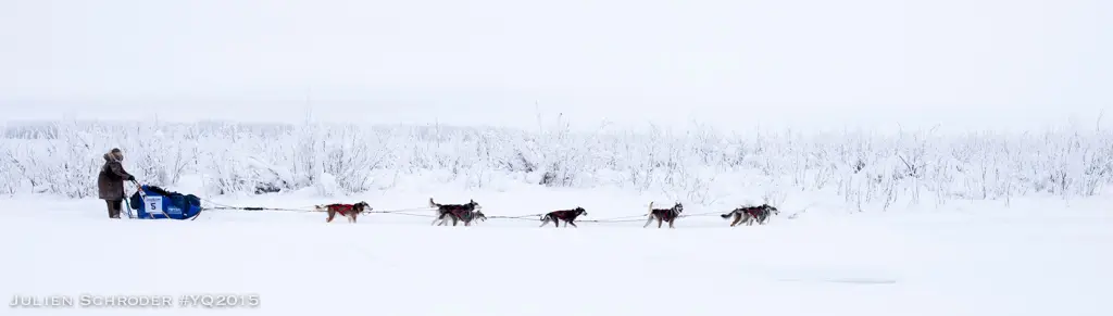 Nicolas Vanier l'aventure du Yukon Quest